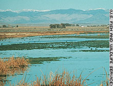 story.canada.wetland.jpg